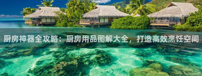 鸿运官方网站|厨房神器全攻略：厨房用品图解大全，打造高效烹饪