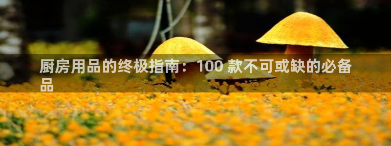 鸿运国际官网hv00|厨房用品的终极指南：100 款不可或缺的必备
品
